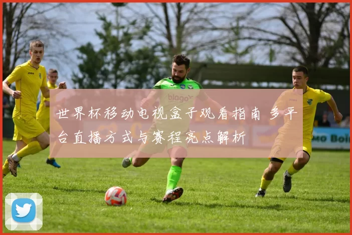 世界杯移动电视盒子观看指南 多平台直播方式与赛程亮点解析