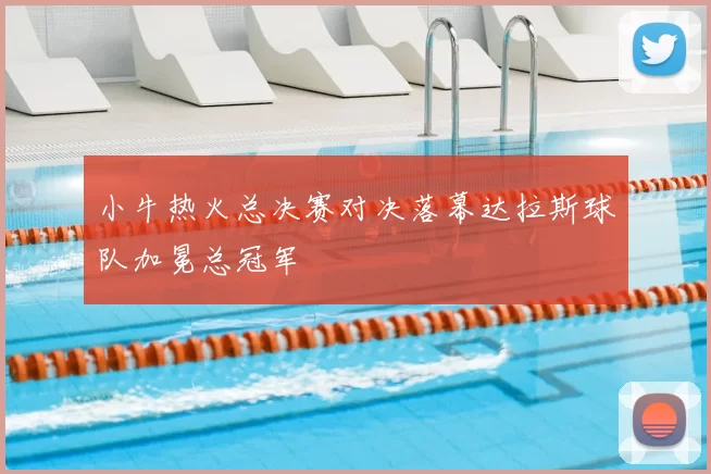 小牛热火总决赛对决落幕达拉斯球队加冕总冠军