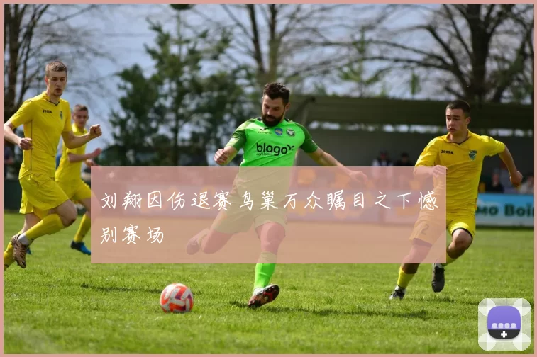 刘翔因伤退赛鸟巢万众瞩目之下憾别赛场