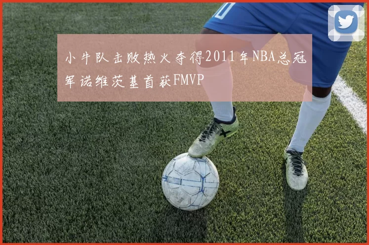小牛队击败热火夺得2011年NBA总冠军诺维茨基首获FMVP
